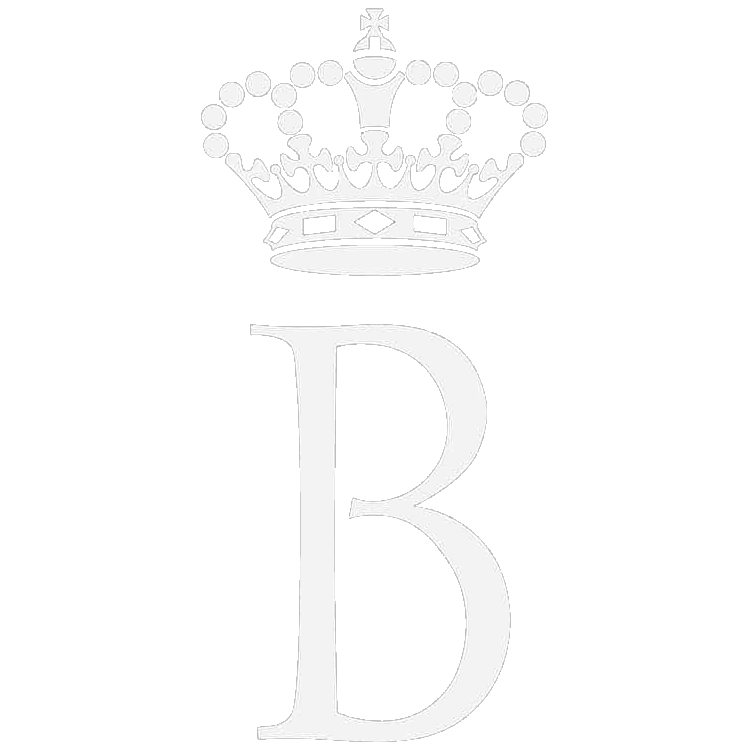 Koning Boudewijnsstichting logo