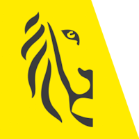 Vlaamse Overheid Logo