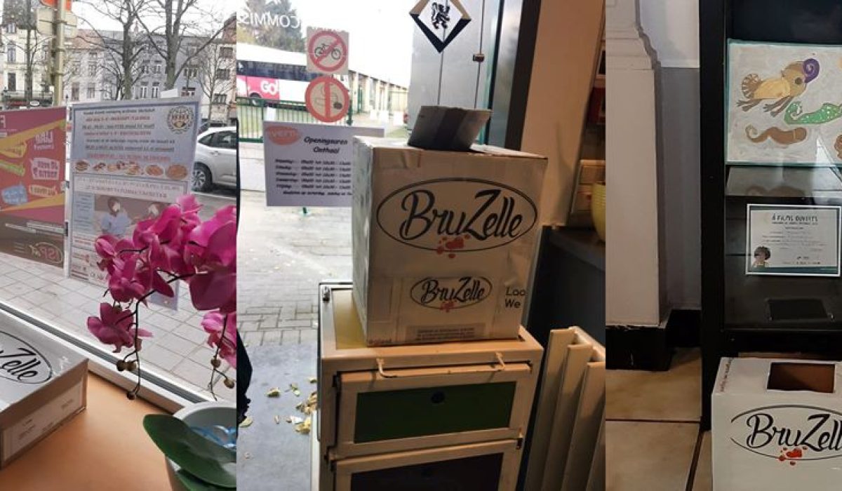 bruzelle-everladies-box